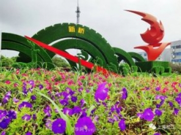 上海松江这里的花坛、花境“上新”啦!特色景观升级!